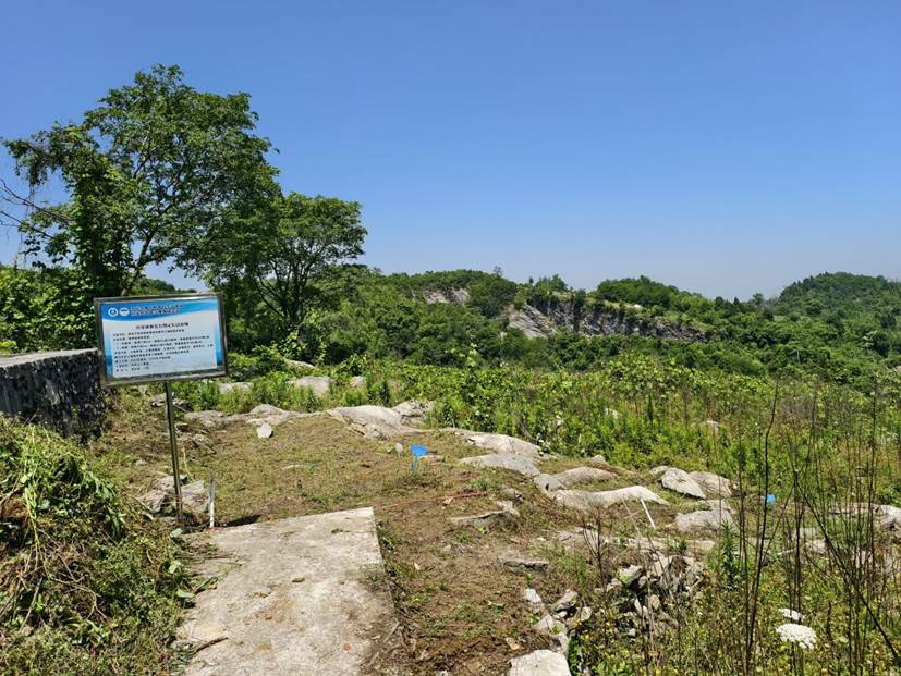 学生的劳动使杂草丛生的荒地焕然一新