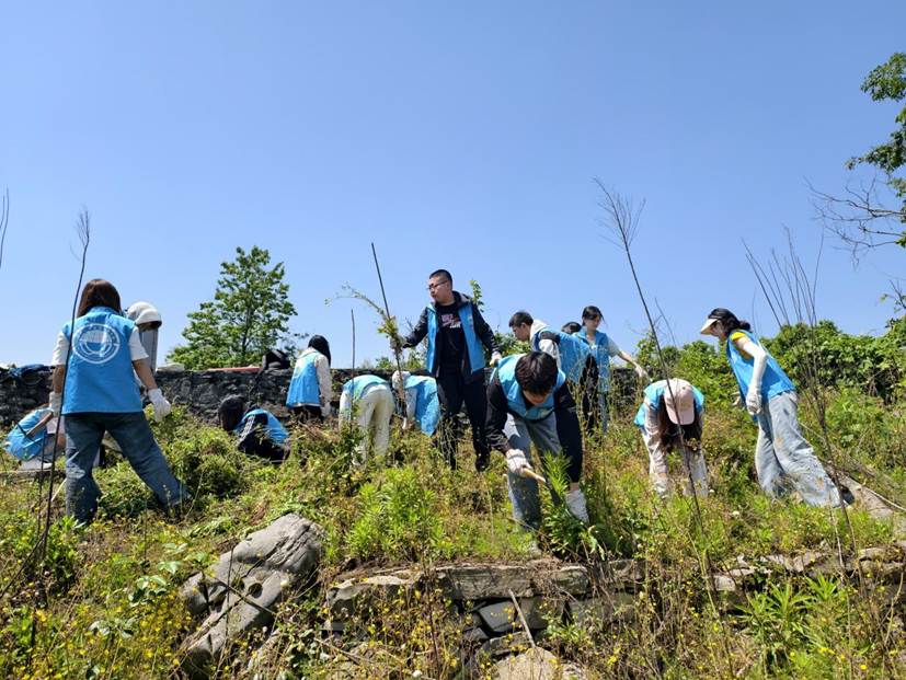 PA视讯PA视讯学生在石漠化严重的撂荒地开展劳动2